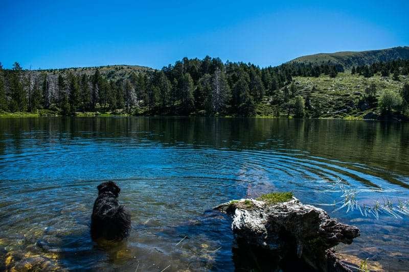 Estany de la Nou